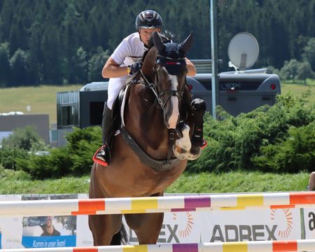 Vielseitigkeitsolympiasieger Michael Jung trit am Wochenende beim Reitturnier in Böblingen an.